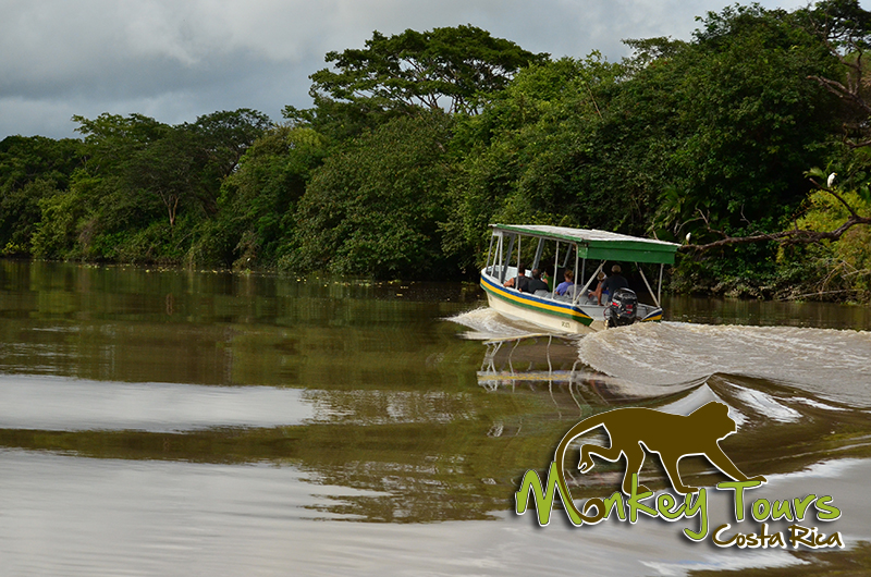 Palo Verde Boat Tour Costa Rica Guided Getaway 134