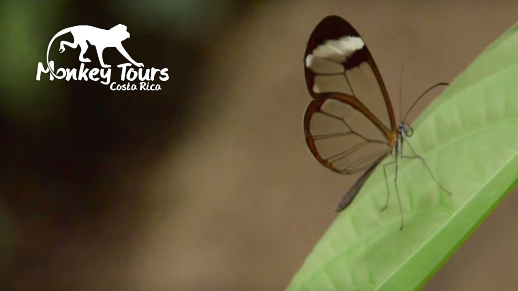 This beauty kill you if you try to eat it.